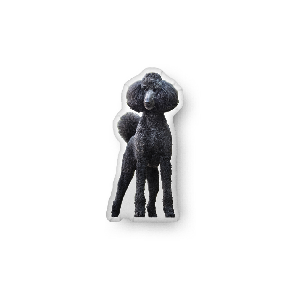 Thumbnail: Ember Custom-shaped pillow