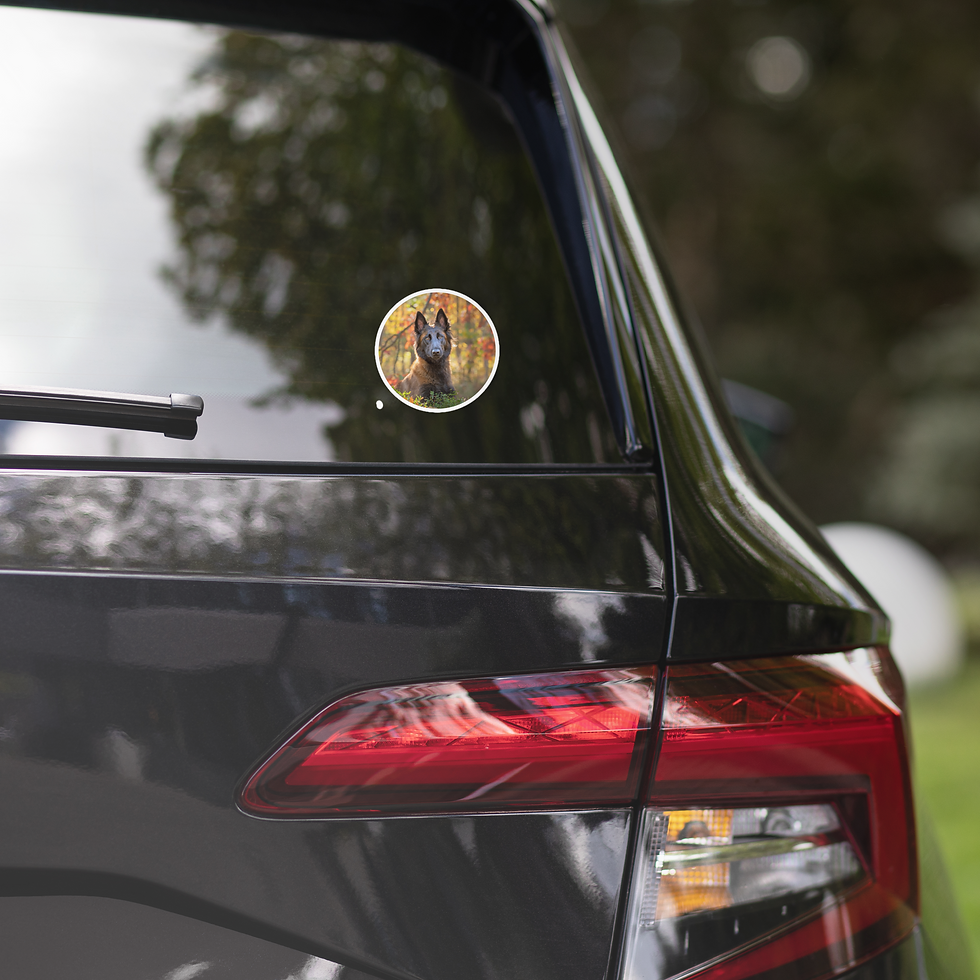 Thumbnail: Clever close-up bubble-free sticker