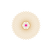 spanda-10 (1).png