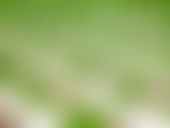 Can hydroponic farming save the world?