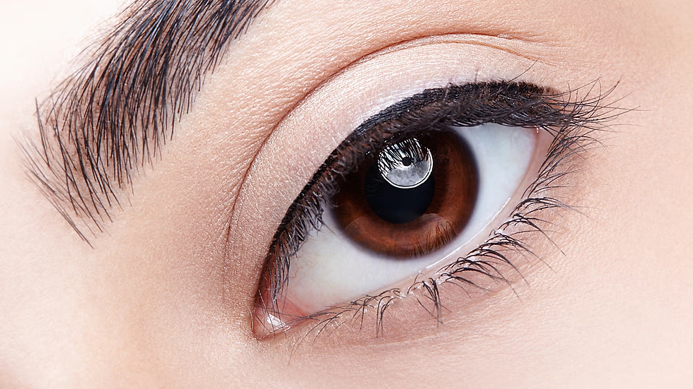 Everything You Need to Know About Lash Liner (Invisible Eyeliner) at The Brow Clinic Texas