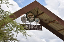 Safari in Serengeti #2