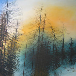 Mon beau sapin n°21