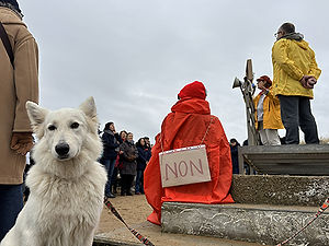 Gens de Bretagne réunion