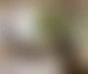 Enjoy a tea, coffee, pastry, or light bite at Lake Crescent Lodge