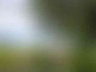 Bench in front of Lake Crescent