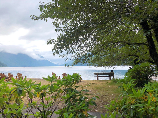 Bench in front of Lake Crescent