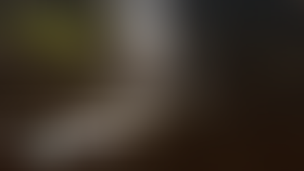 A magia está em tudo.