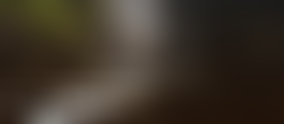 A magia está em tudo.