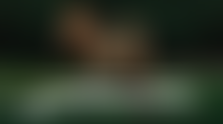 Há muito sofrimento quando se tem um olhar raso da realidade.