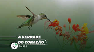 A verdade do coração