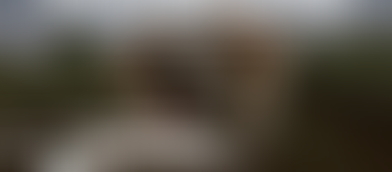 Solta os resultados e faça o seu melhor!