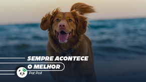 Sempre acontece o melhor.