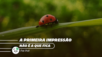A primeira impressão, não é a que fica.