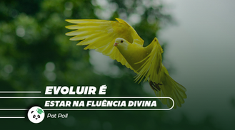 Evoluir é estar na fluência divina