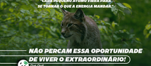 Não percam essa oportunidade de viver o extraordinário!
