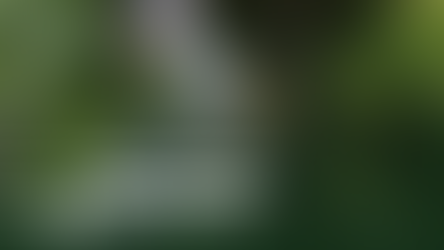 Deixe a centelha Divina brilhar!