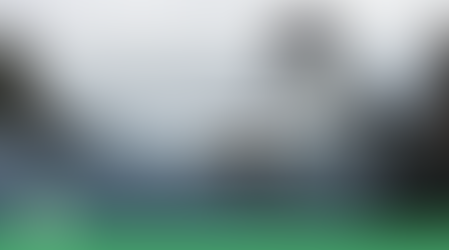  "Na contramão" do Todo?