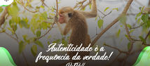 Autenticidade é a frequência da verdade!
