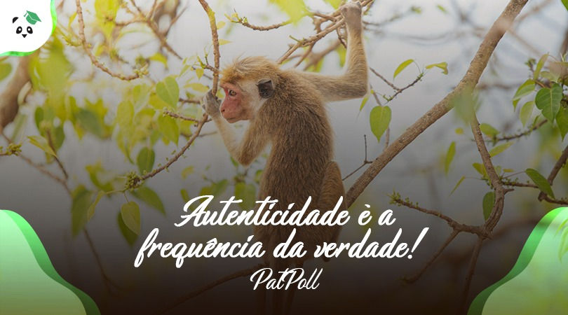 Autenticidade é a frequência da verdade!