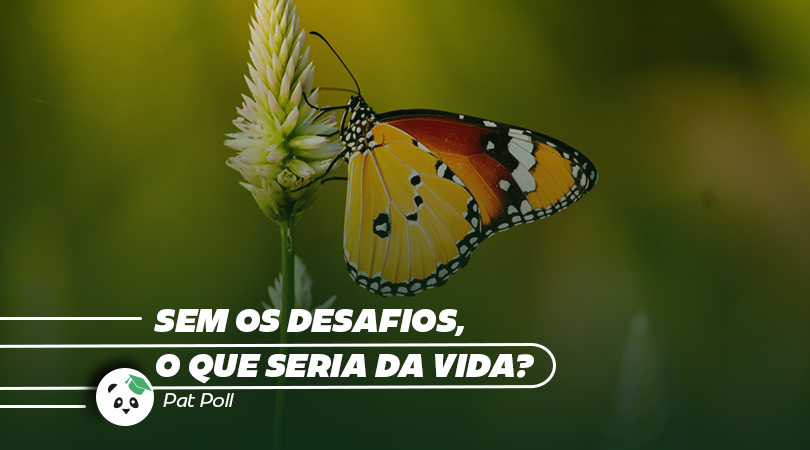 Sem os desafios, o que seria da vida?