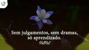 Sem julgamentos, sem dramas, só aprendizado.