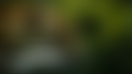 Ninguém é super-herói.