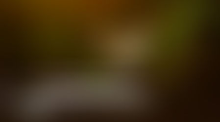 Amor tem que ser o sentimento dominante.