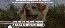 Solta os resultados e faça o seu melhor!