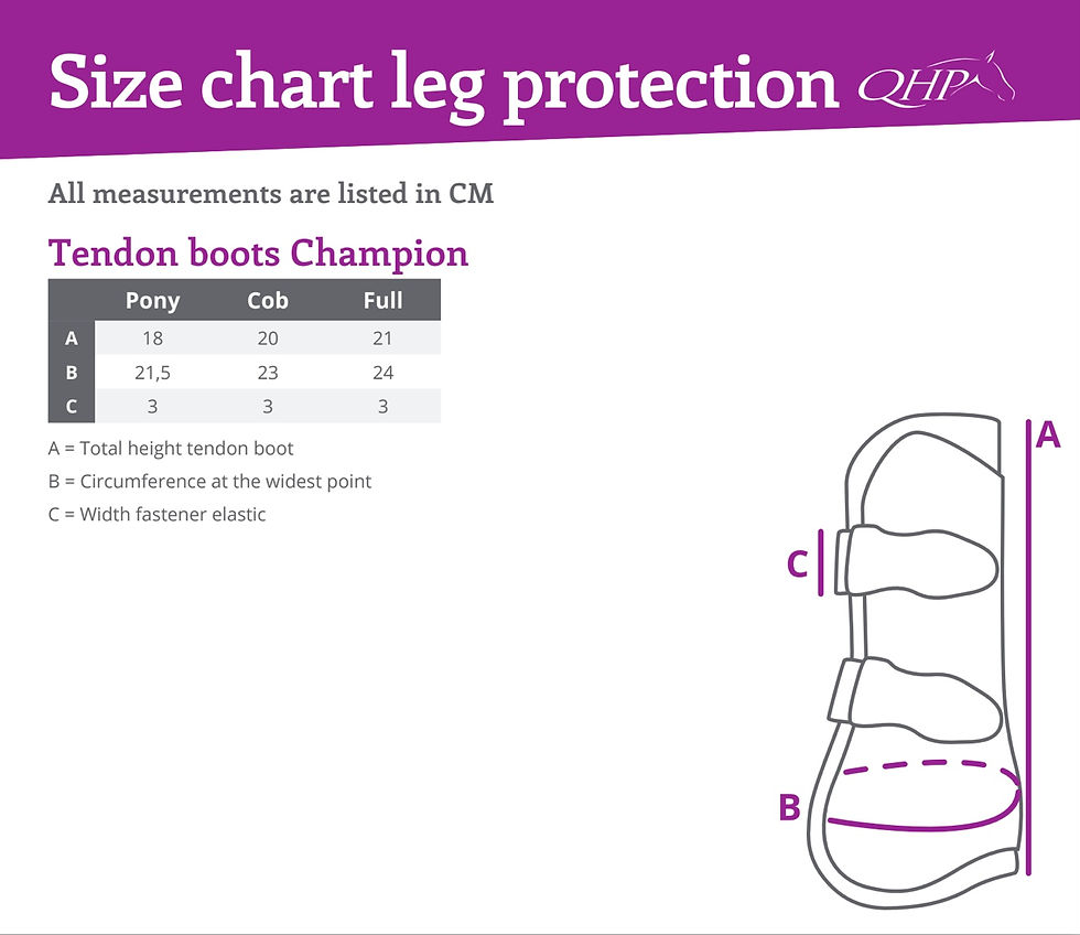 Thumbnail: QHP Tendon Boots Champion - Green