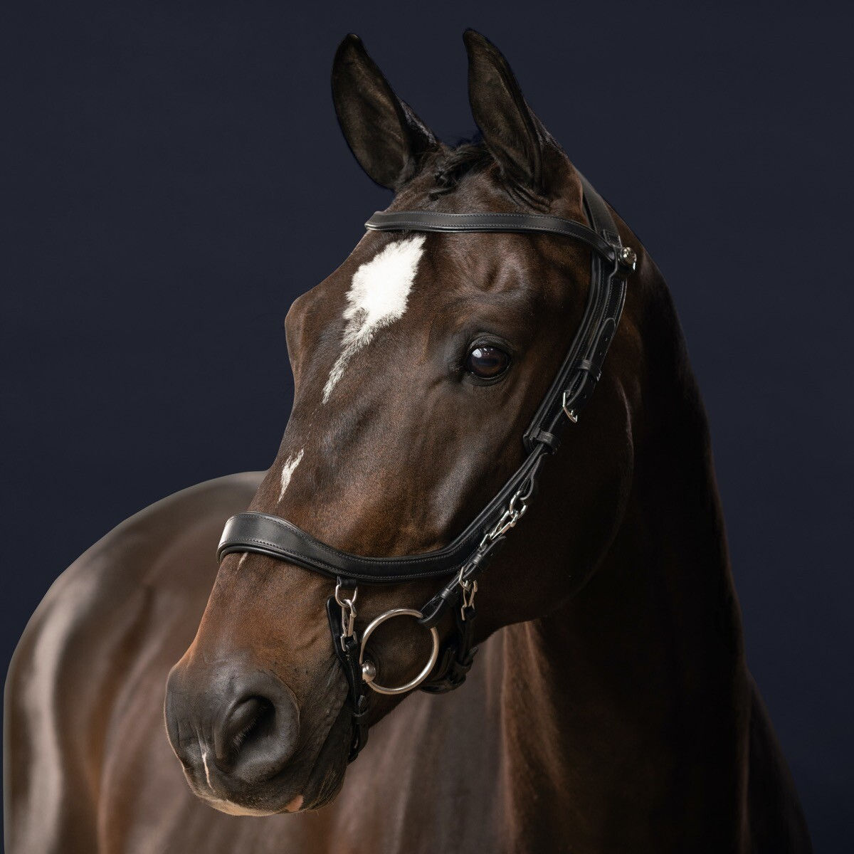 Presteq Bridle Faysport - Black