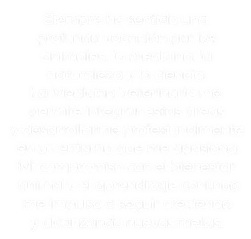 Texto daniela .png