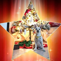 PHOTO-2024-01-02-03-17-04 2_edited_edited.jpg