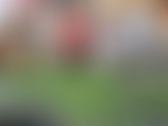 CannaBeFest 2025: Ecuador celebra su primer festival de cultura cannábica