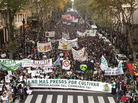 Movimiento Cannábico Autoconvocado: la red bonaerense que se organiza contra la persecución y por una ley inclusiva
