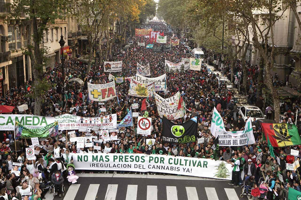 Movimiento Cannábico Autoconvocado