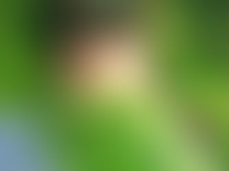 Sir Oliver Skardy: del reggae veneciano a los pasillos de una escuela