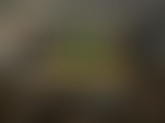 Delomar vuelve a sus raíces para sanar a Jamaica con música