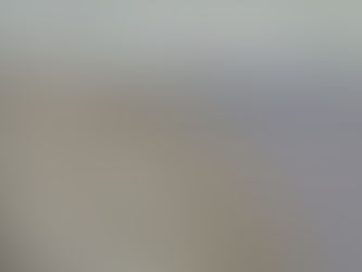 Stella Zhang: 0-Viewpoint