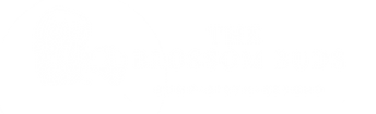 lisa logo.png