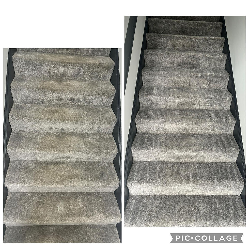 carpet.jpg