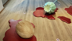 Nanna Gro Henningsen_Brutalized Botany_Installation_Foto Inge Schjødt.jpg