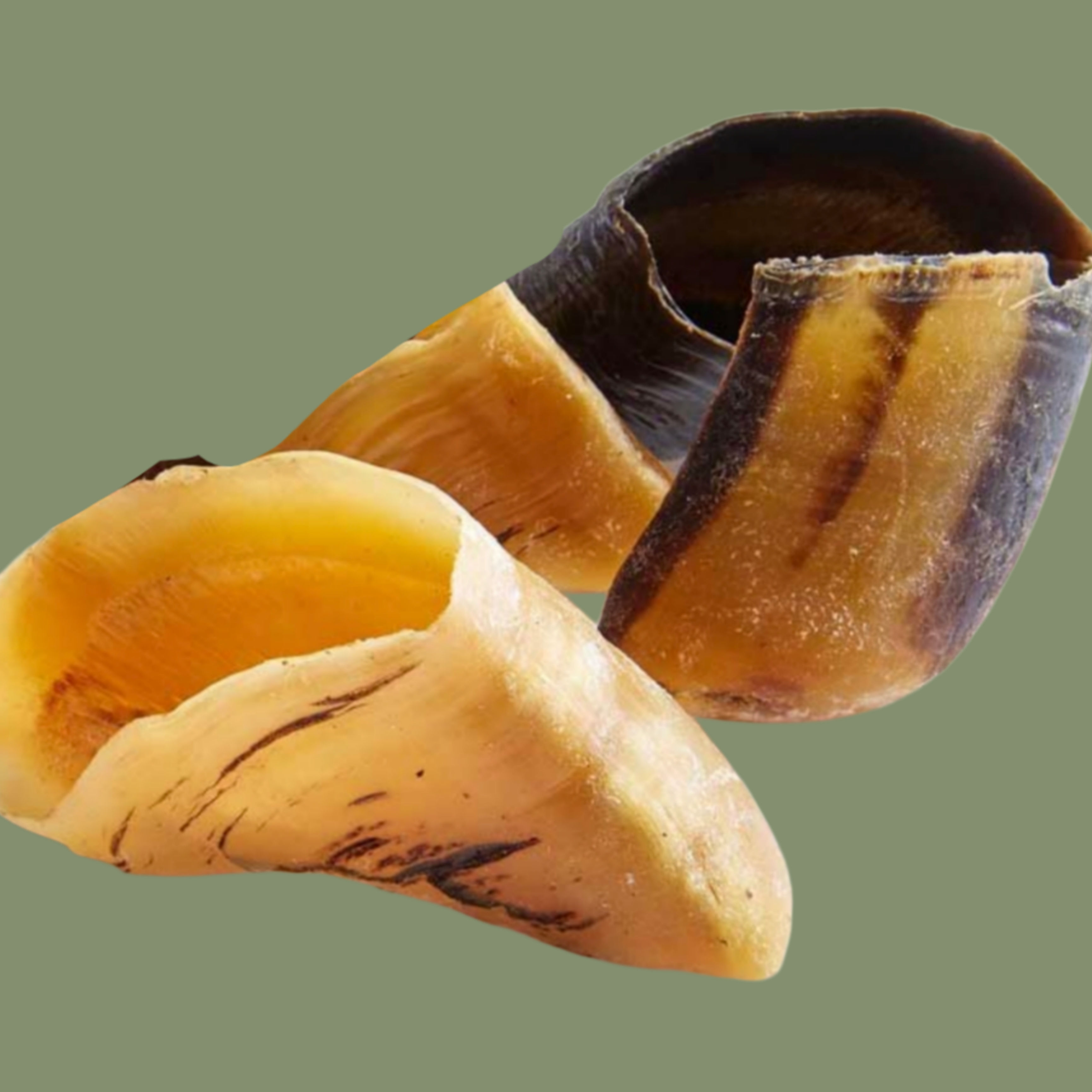 Cow Hooves 5PK
