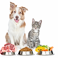 ChatGPT Image 16 ene 2026, 10_21_49.png