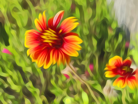 The Garden of Growth: Transforming Failures into Blossoms of Success