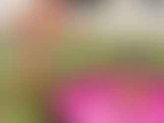 Everything Starts as a Crazy Idea