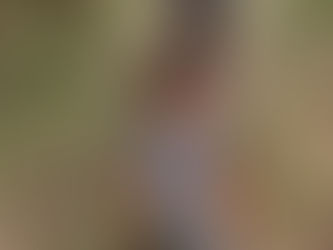 Let Them Stay Small: You Were Built to Dream Big!