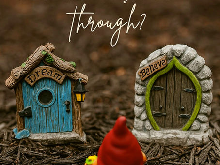 Sometimes the universe speaks through a garden gnomes.