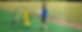 Grassroots Program