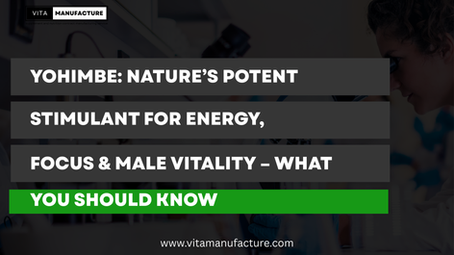 Yohimbe: Nature’s Potent Stimulant for Energy, Focus & Male Vitality – What You Should Know